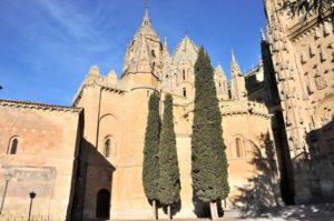 Catedral Vieja Salamanca