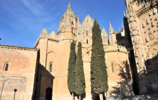 Catedral Vieja Salamanca