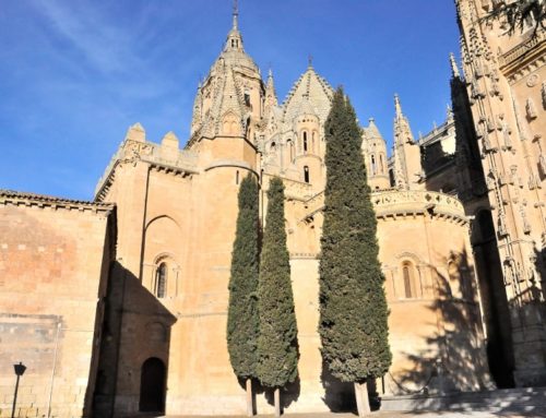 Catedral Vieja, Salamanca.