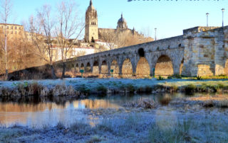 Puente Romano Salamanca