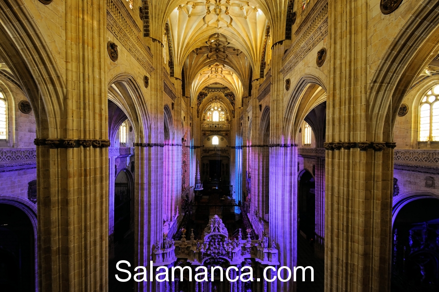 Ieronimus, Salamanca