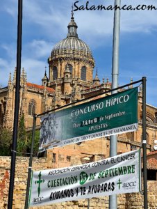 Salamanca.com, Archivo