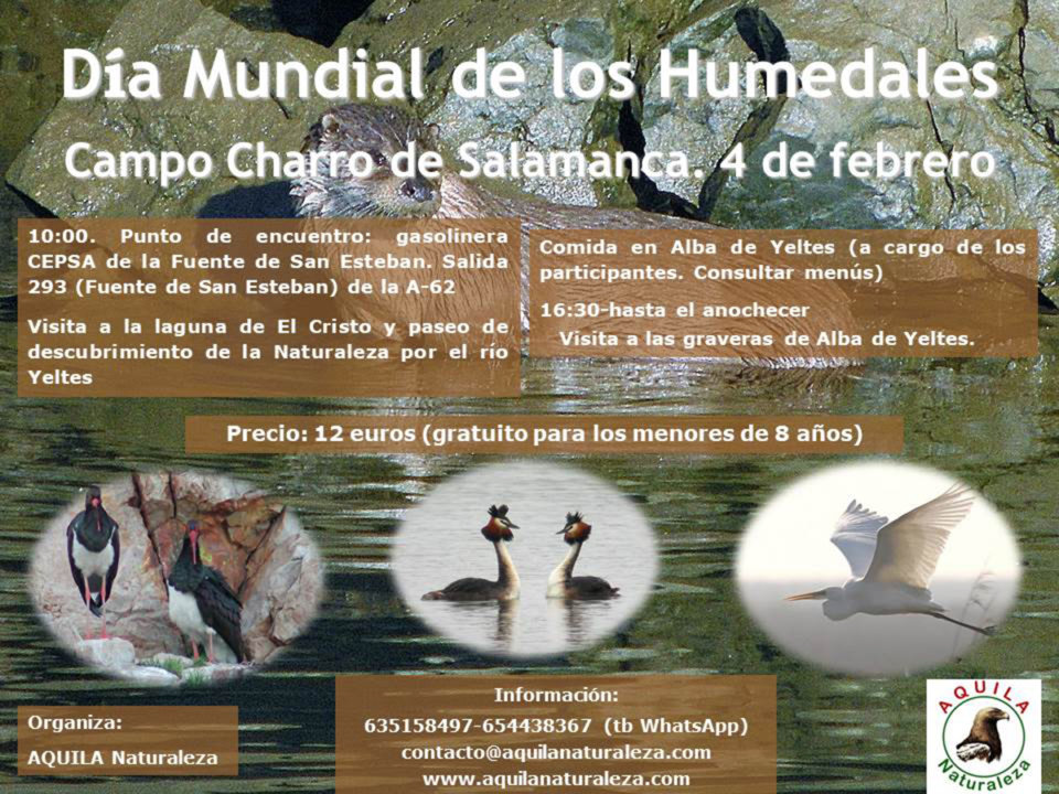 La Fuente de San Esteban Día Mundial de los Humedales Febrero 2018