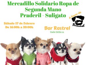 El Rastrel Mercadillo Solidario de Segunda Mano Salamanca Febrero 2018