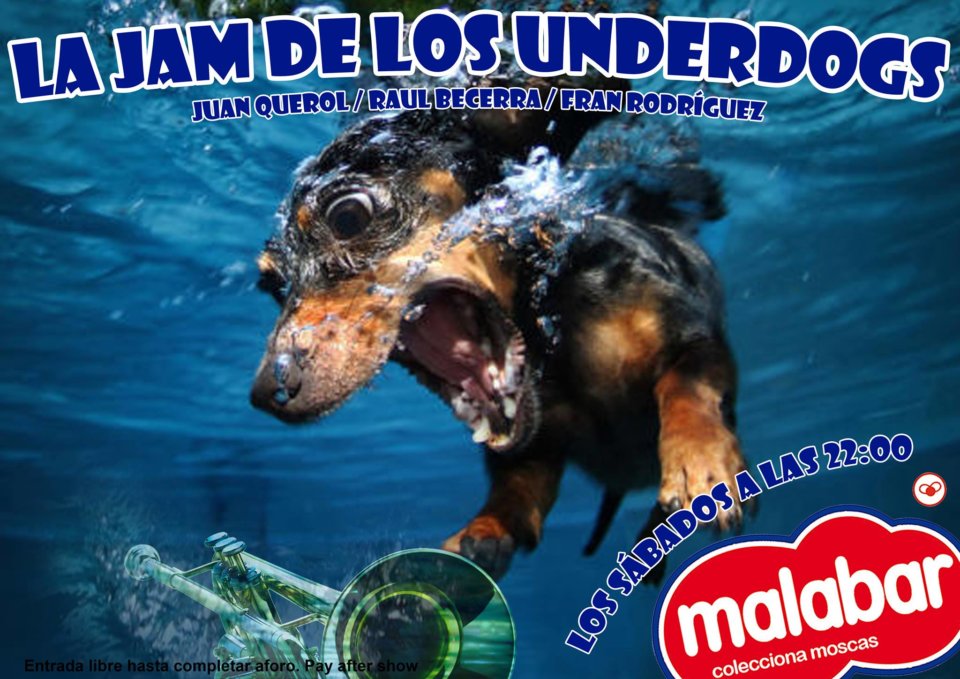 Malabar La Jam de los Underdogs Salamanca