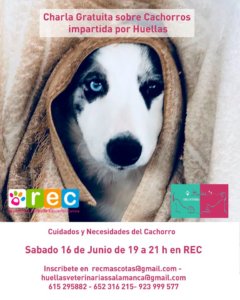 Clínica Huellas Cachorros Salamanca Junio 2018