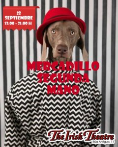 The Irish Theatre Mercadillo de Segunda Mano Salamanca Septiembre 2018