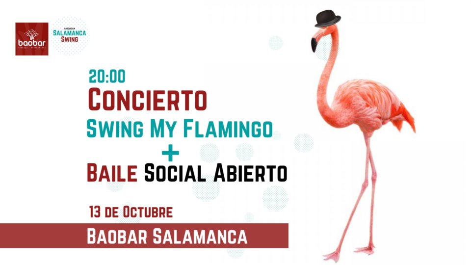 Baobar Swing my Flamingo Salamanca Octubre 2018