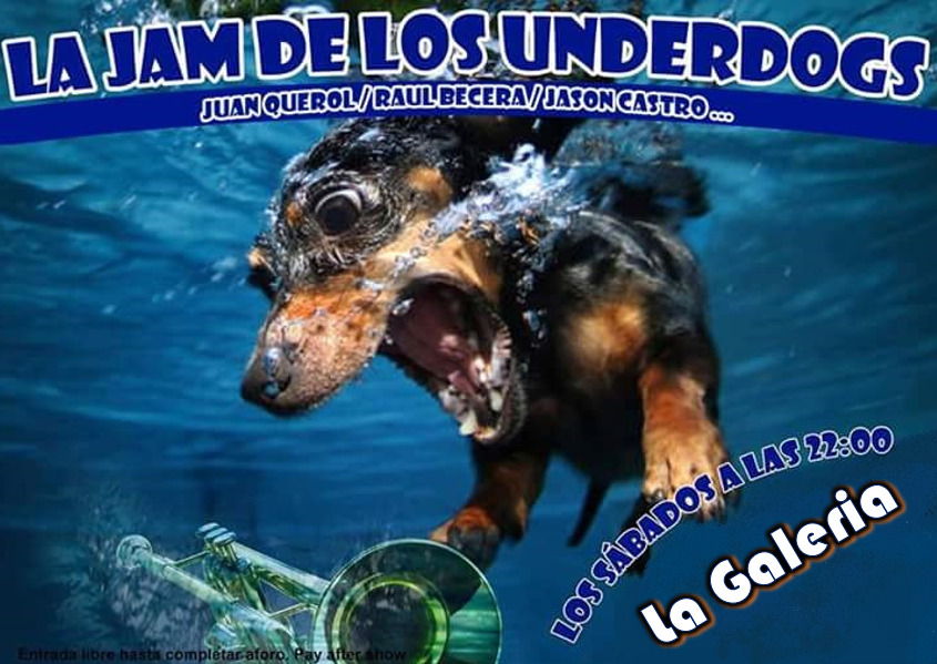 La Galería La Jam de los Underdogs Salamanca 2018
