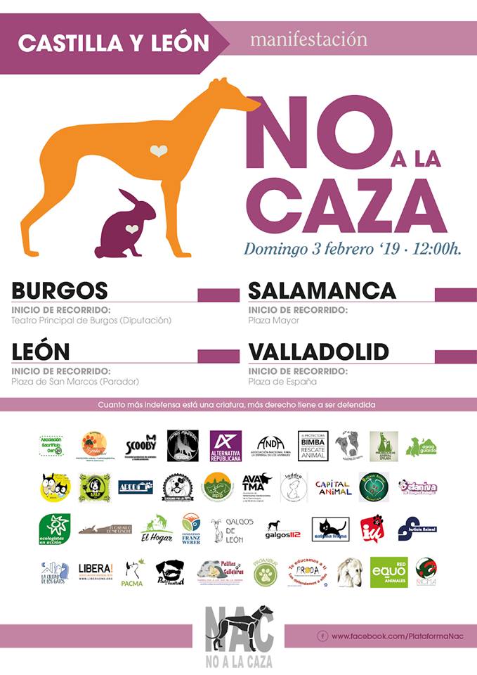 Plaza Mayor Manifestación No a la Caza Salamanca Febrero 2019