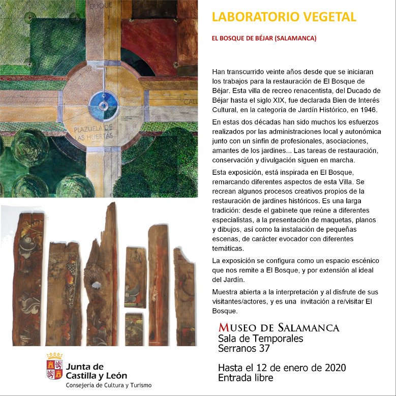 Museo de Salamanca Laboratorio vegetal. El Bosque de Béjar Noviembre diciembre 2019 enero 2020
