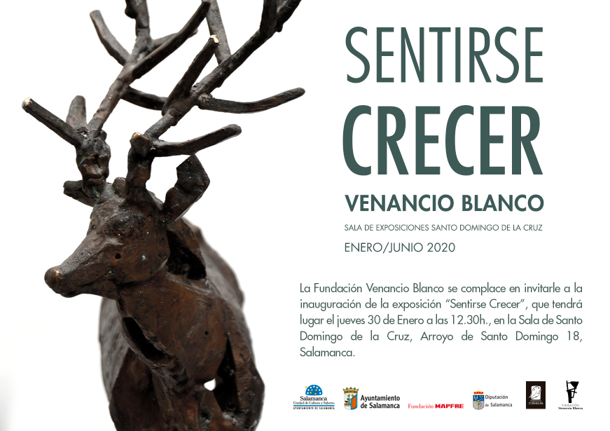 Sala de Exposiciones Santo Domingo de la Cruz Sentirse crecer. Venancio Blanco Salamanca 2020