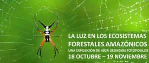Palacio de Maldonado La luz en los ecosistemas forestales amazónicos Salamanca Octubre noviembre 2021