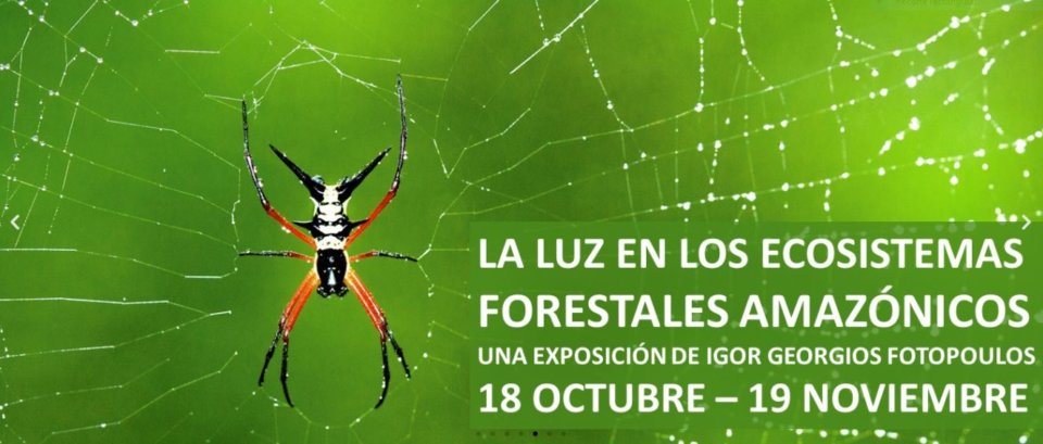 Palacio de Maldonado La luz en los ecosistemas forestales amazónicos Salamanca Octubre noviembre 2021