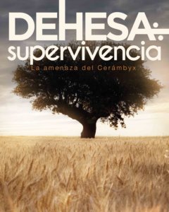 Teatro Liceo Dehesa: supervivencia. La amenaza del Cerámbyx Salamanca Noviembre 2021