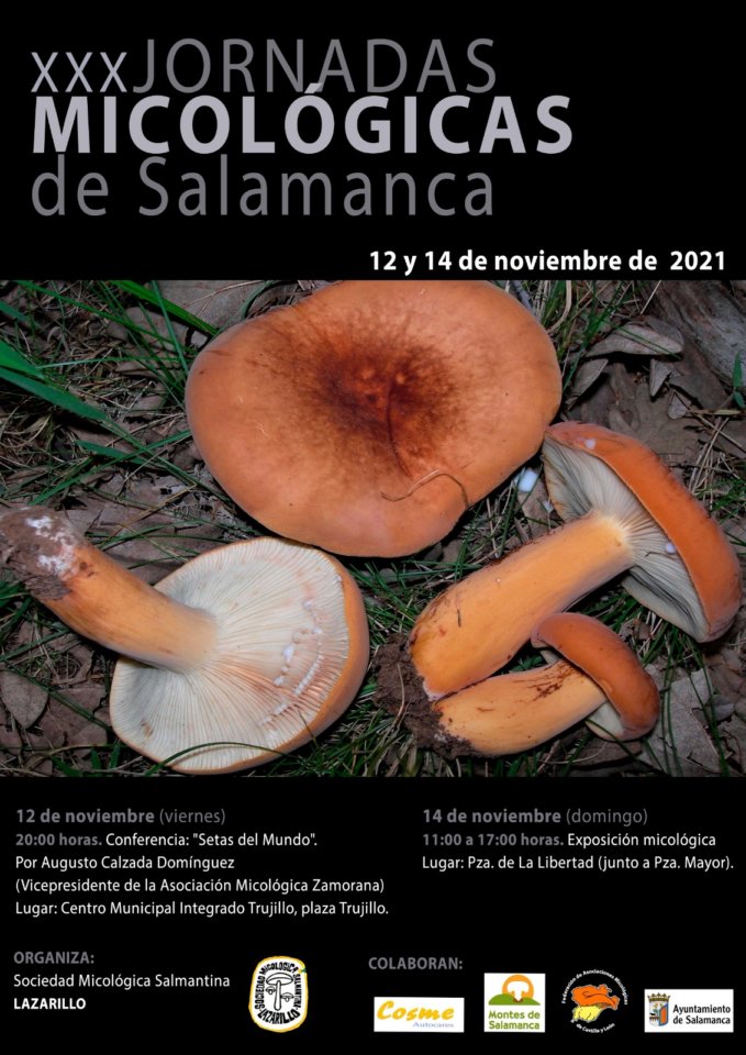 Salamanca XXX Jornadas Micológicas Salmantinas Noviembre 2021