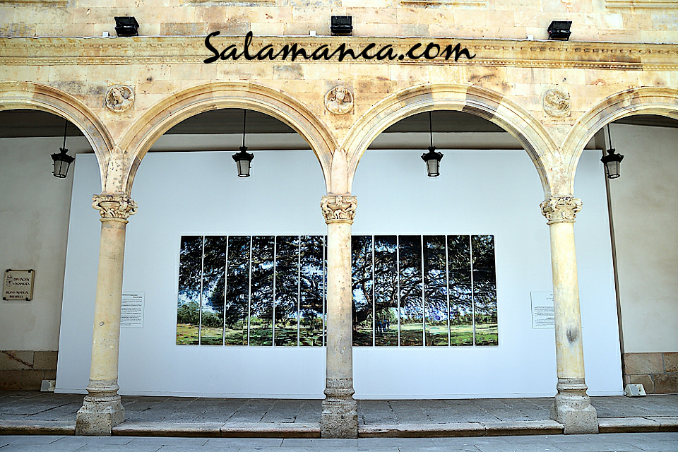 La Salina Poéticas de Salamanca 2022