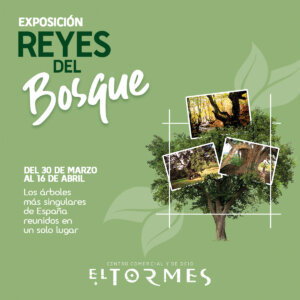 Centro Comercial El Tormes Reyes del Bosque Santa Marta de Tormes Marzo abril 2023
