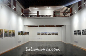 Museo de Salamanca Transversalidades Febrero marzo 2024