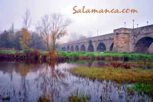 salamanca-puente-romano-15