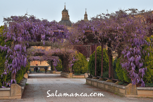 Salamanca y su clásico primaveral desde la calle Balmes