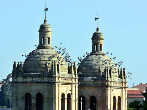 Palomas sobre las cúpulas del Arrabal