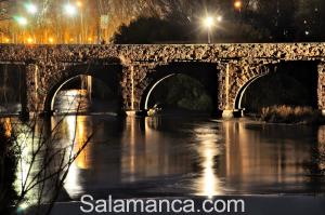 salamanca-puente-romano-11