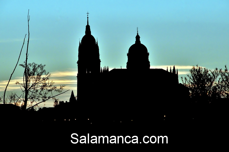 Catedral Nueva, Salamanca.