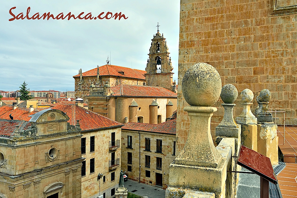 Torres de las Catedrales Ieronimus, Salamanca.