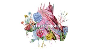 Vetusta Morla Mismo sitio, distinto lugar Sánchez Paraíso Salamanca Abril 2018