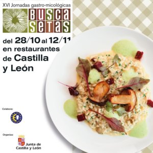 XVI Jornadas Gastro-Micológicas Buscasetas Salamanca 2017