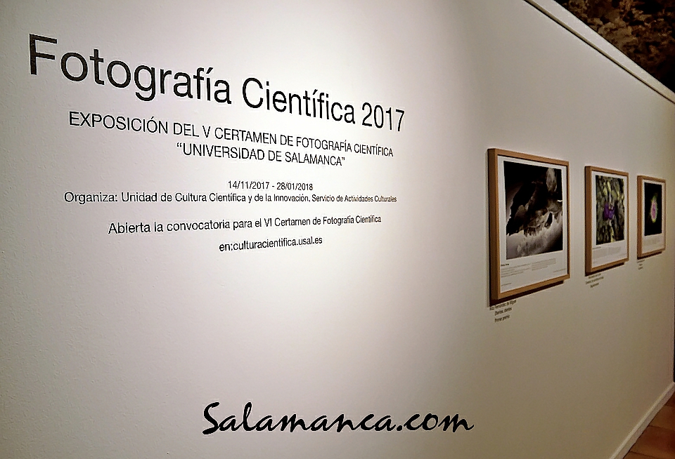 Hospedería Fonseca Fotografía Científica Universidad de Salamanca 2017-2018
