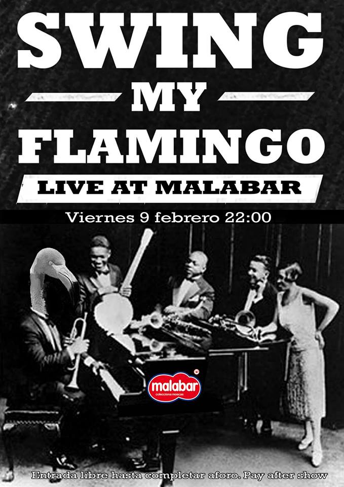 Malabar Swing my Flamingo Salamanca Febrero 2018