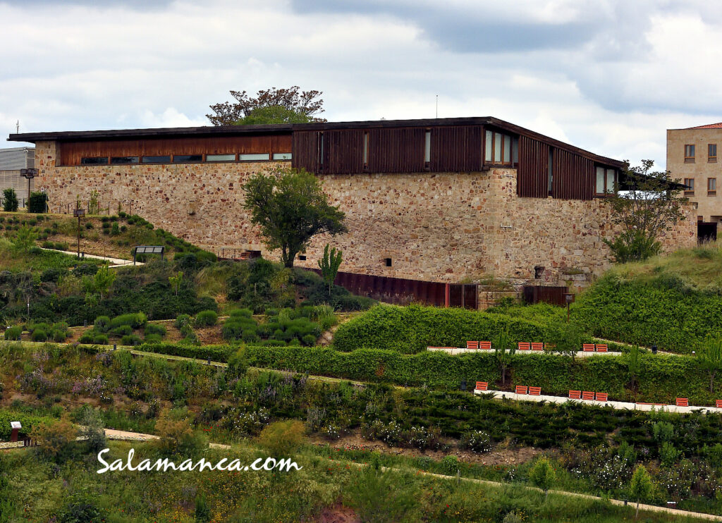 Museo del Cerro de San Vicente Salamanca Visitas Guiadas Salamanca