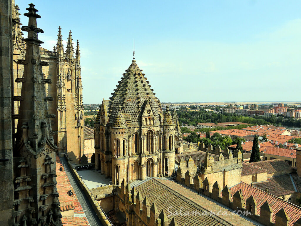 Catedral Vieja Ieronimus Visitas Diurnas Salamanca