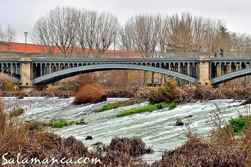 Salamanca y su puente de Enrique Estevan