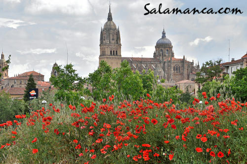 Salamanca, una estampa de primavera