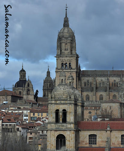 Salamanca... Alto soto de torres